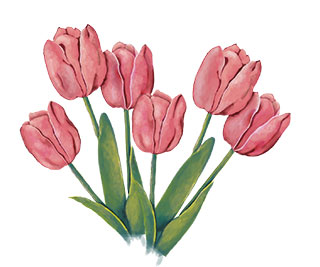 Flores
