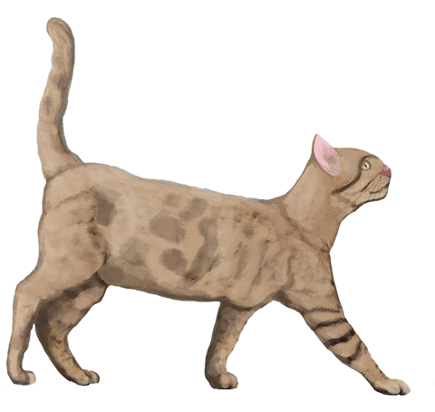 Gato decorativo