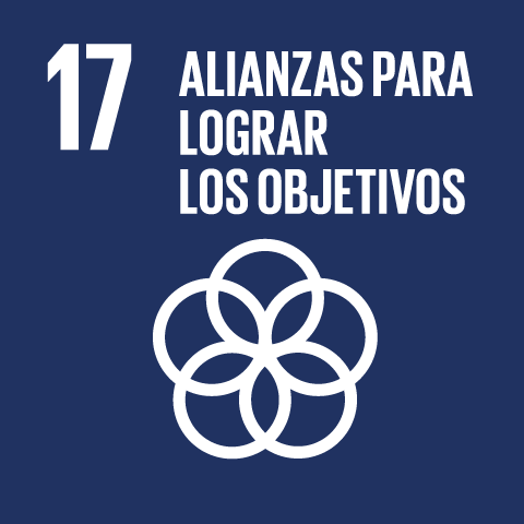 ODS 17