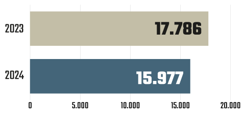 15.977 visitas en 2024