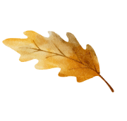 Hoja decorativa