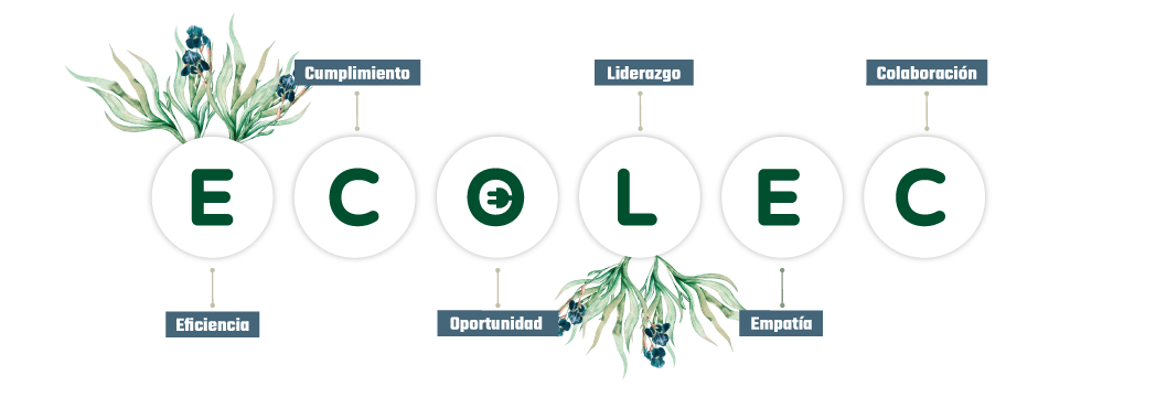 Valores