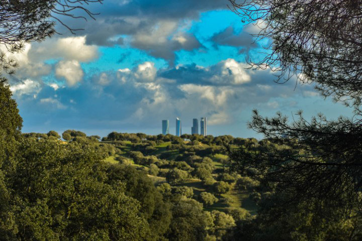 #GreenNews junio 2024